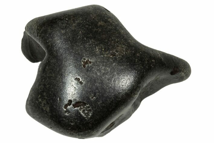 Fusion Crusted Sikhote-Alin Iron Meteorite ( g) - Russia #334539